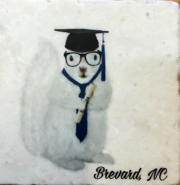 Coasters - Tile - White Squirrel Sport and Hobby Enthusiasts