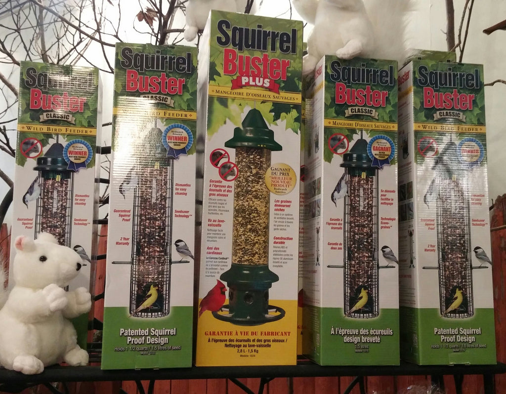 LOOKING FOR THOSE SQUIRREL BUSTERS?