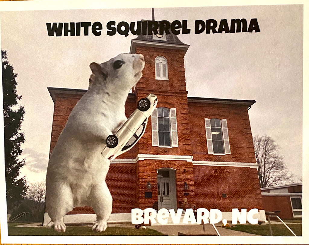 White Squirrel Drama post card!!!