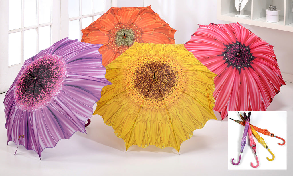 It's Raining?? No problem- Brighten up your day with a new Colorful Umbrella!!!