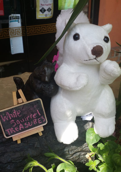 White Squirrel Treasures