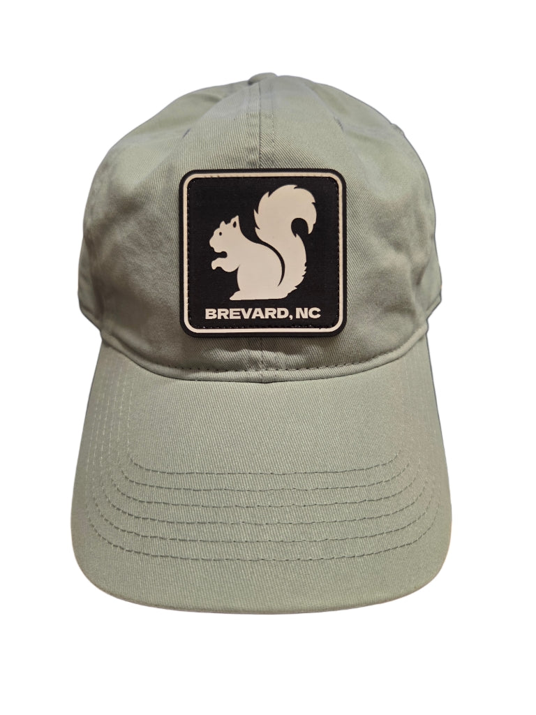 Comfort Colors White Squirrel Baseball Hat Brevard NC