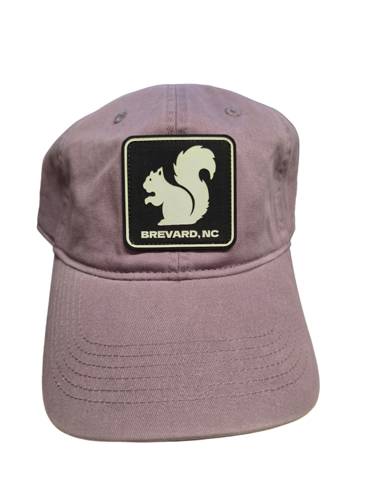 Comfort Colors White Squirrel Baseball Hat Brevard NC