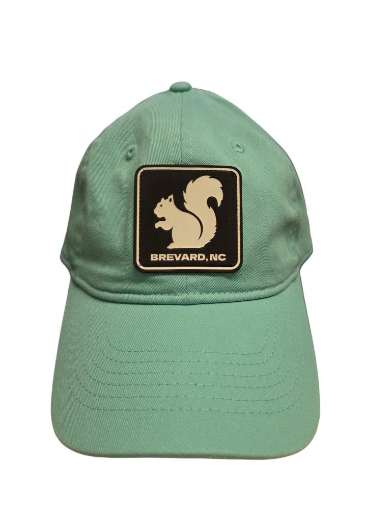 Comfort Colors White Squirrel Baseball Hat Brevard NC