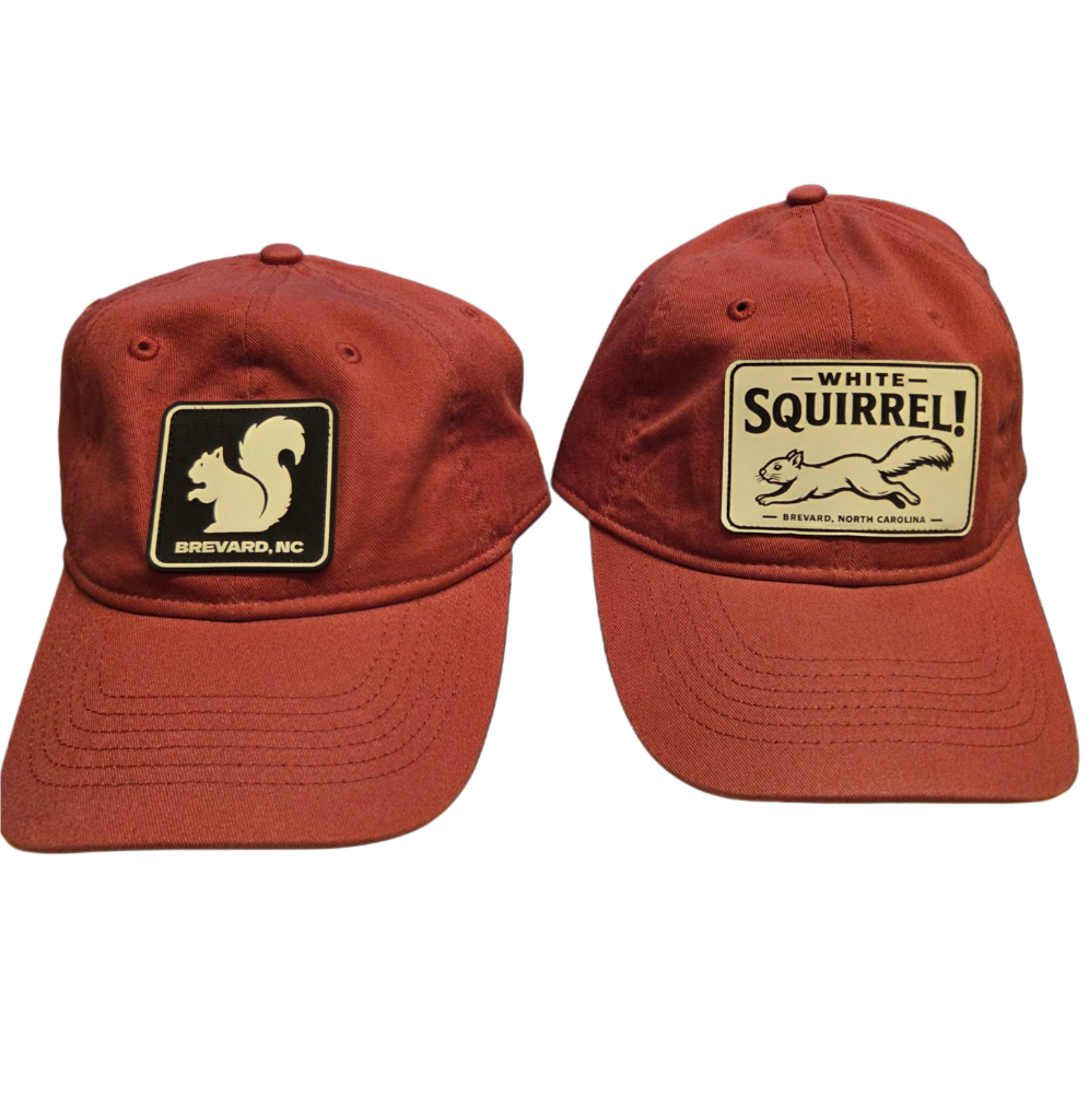 Comfort Colors White Squirrel Baseball Hat Brevard NC
