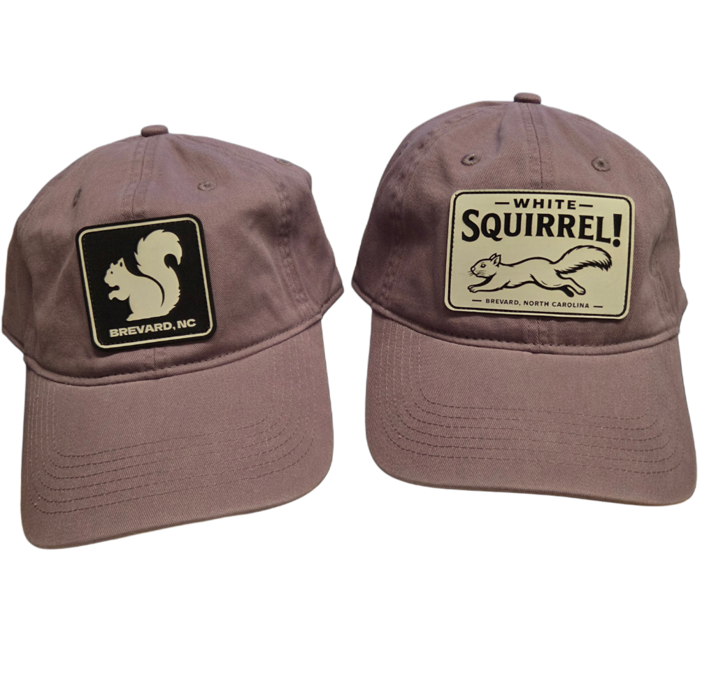 Comfort Colors White Squirrel Baseball Hat Brevard NC