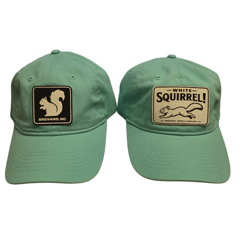 Comfort Colors White Squirrel Baseball Hat Brevard NC