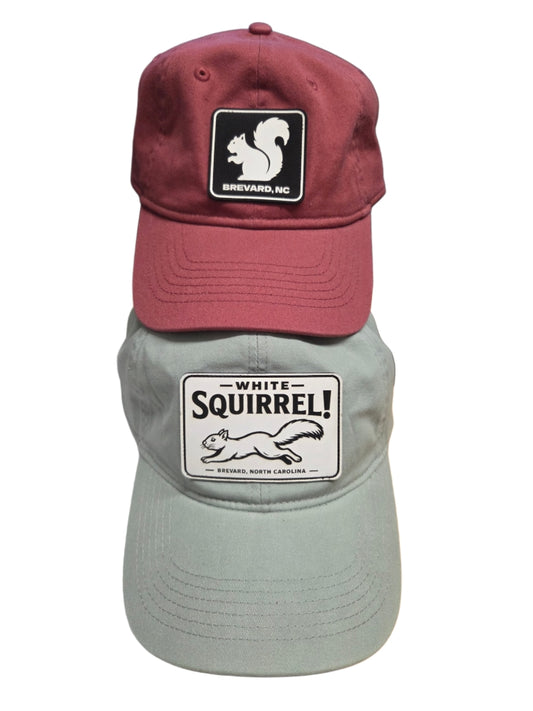 Hat - Comfort Colors White Squirrel Baseball Hat Brevard NC