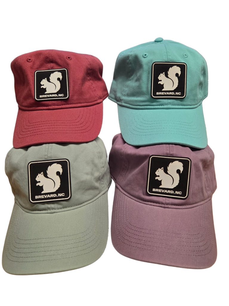 Comfort Colors White Squirrel Baseball Hat Brevard NC