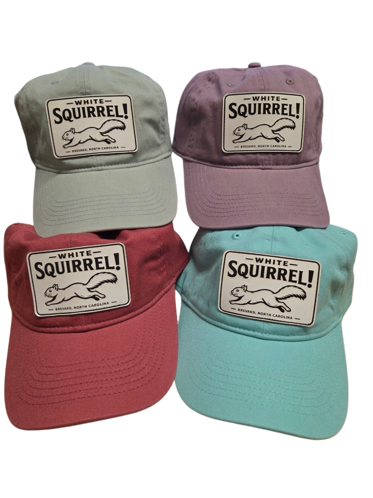 Comfort Colors White Squirrel Baseball Hat Brevard NC