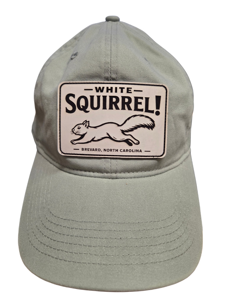 Comfort Colors White Squirrel Baseball Hat Brevard NC