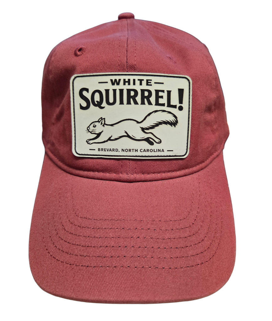 Comfort Colors White Squirrel Baseball Hat Brevard NC