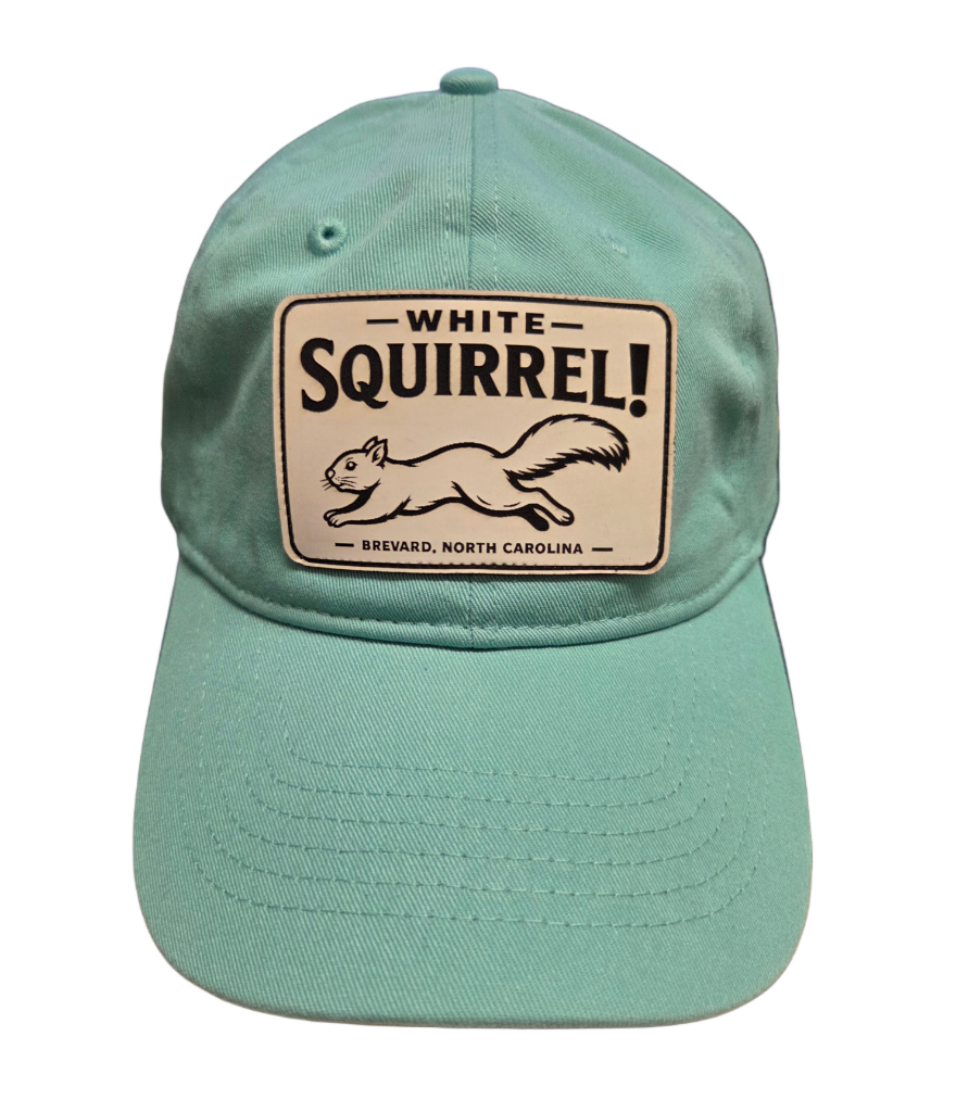 Comfort Colors White Squirrel Baseball Hat Brevard NC