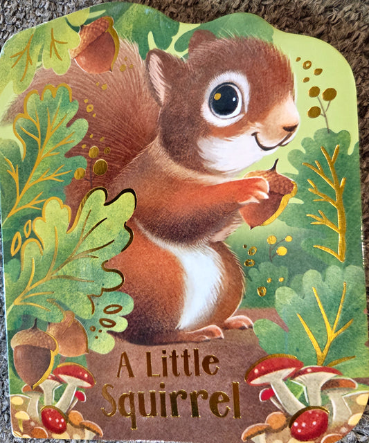 Book - A Little Squirrel - Children's Board Book - A Little Squirrel - Gentle Animal Stories