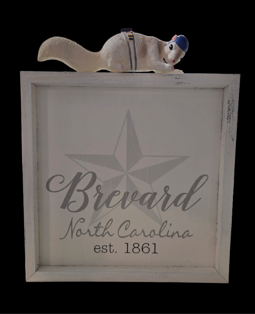 Signs - Farmhouse Sign with "Brevard, NC.....Established 1861"
