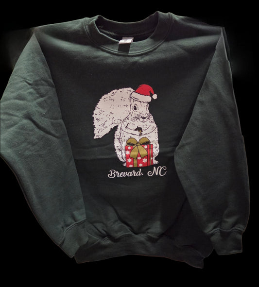 Christmas Sweatshirt - Youth - Santa Squirrel