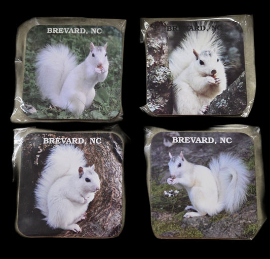 Four coasters with images of a white squirrel and 'Brevard, NC' text. Sold separately.