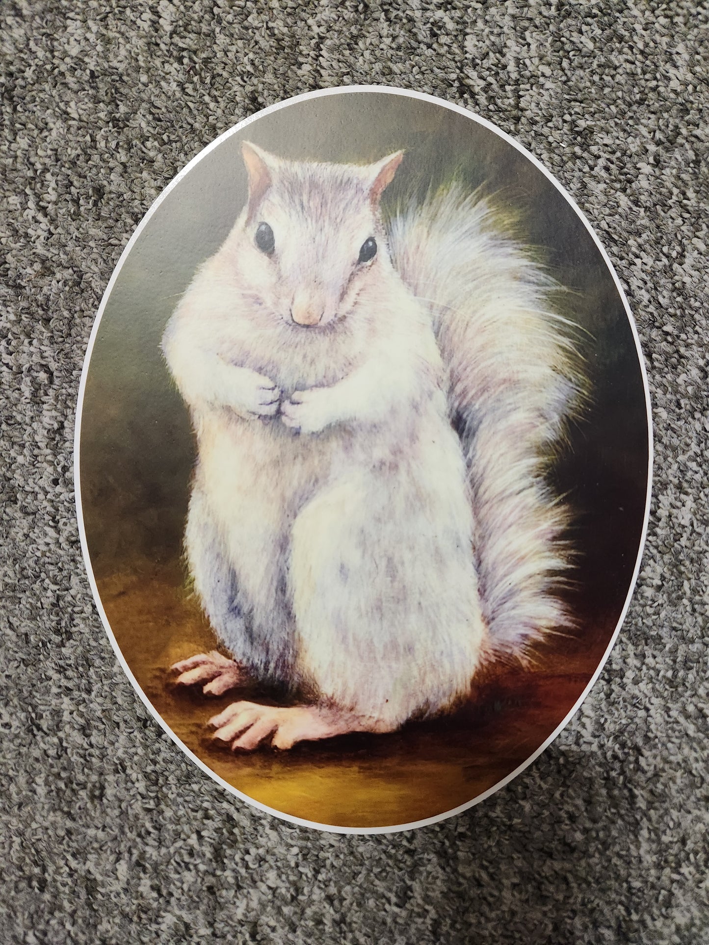 A vinyl decal of a white squirrel, oval-shaped, with realistic artistic detailing.