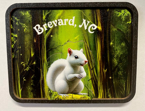 Magnet - Wooden 3D - White Squirrel in Green Woods with Brevard, NC