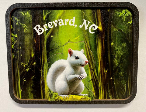 Magnet - Wooden Dimensional White Squirrel in Green Woods with Brevard, NC imprint