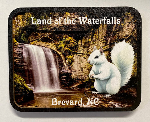 Magnet - Land of the Waterfalls 3D Wooden Magnet with our Little White Squirrel