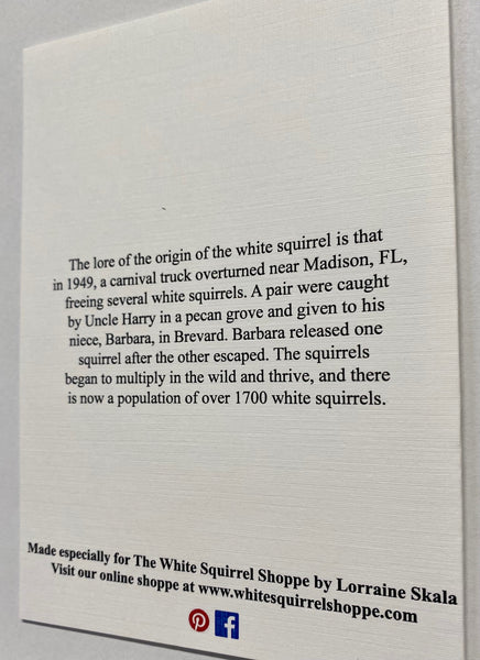 Notecards - White Squirrel Notecards by Lorraine Skala