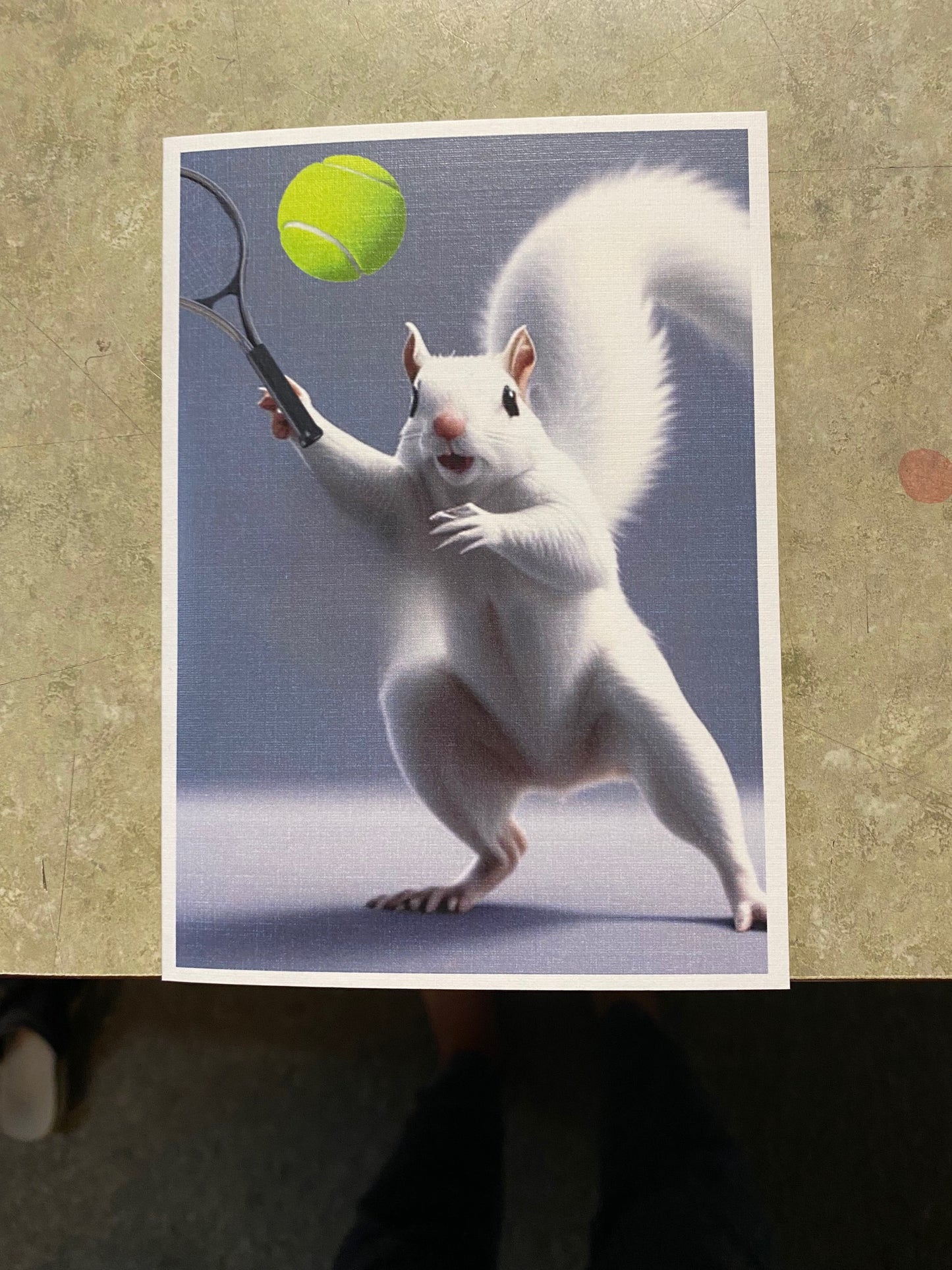 Notecards - White Squirrel Notecards by Lorraine Skala