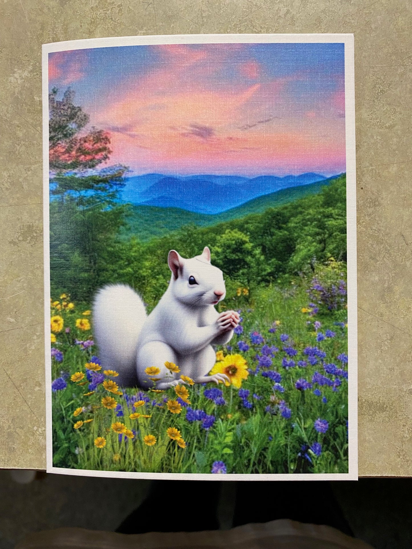 Notecards - White Squirrel Notecards by Lorraine Skala