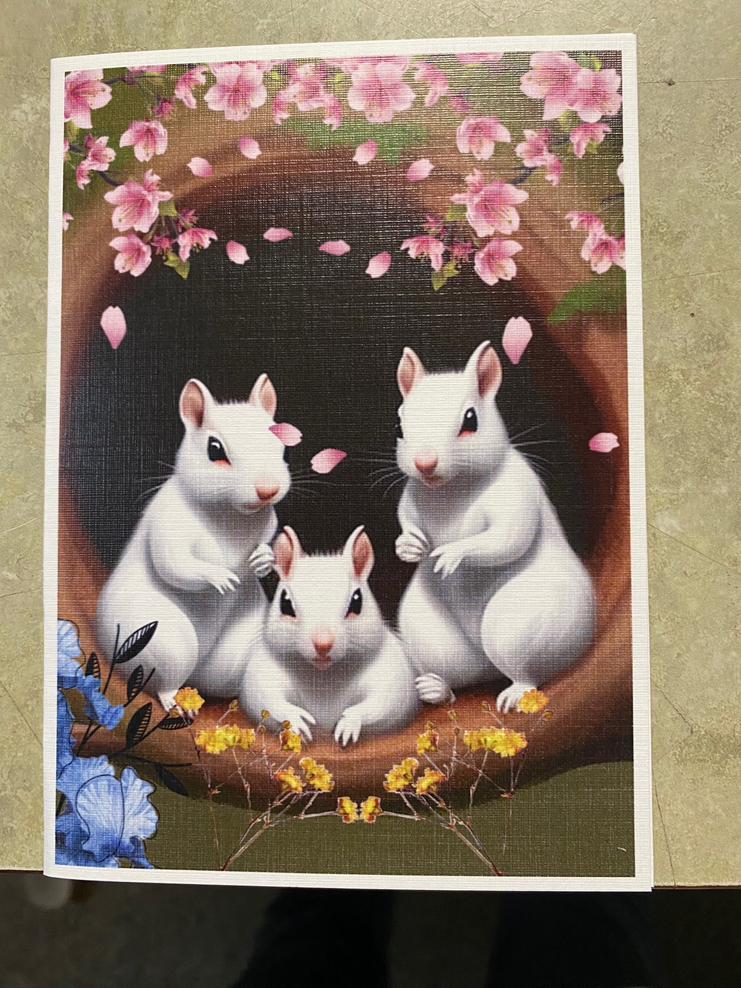 Notecards - White Squirrel Notecards by Lorraine Skala