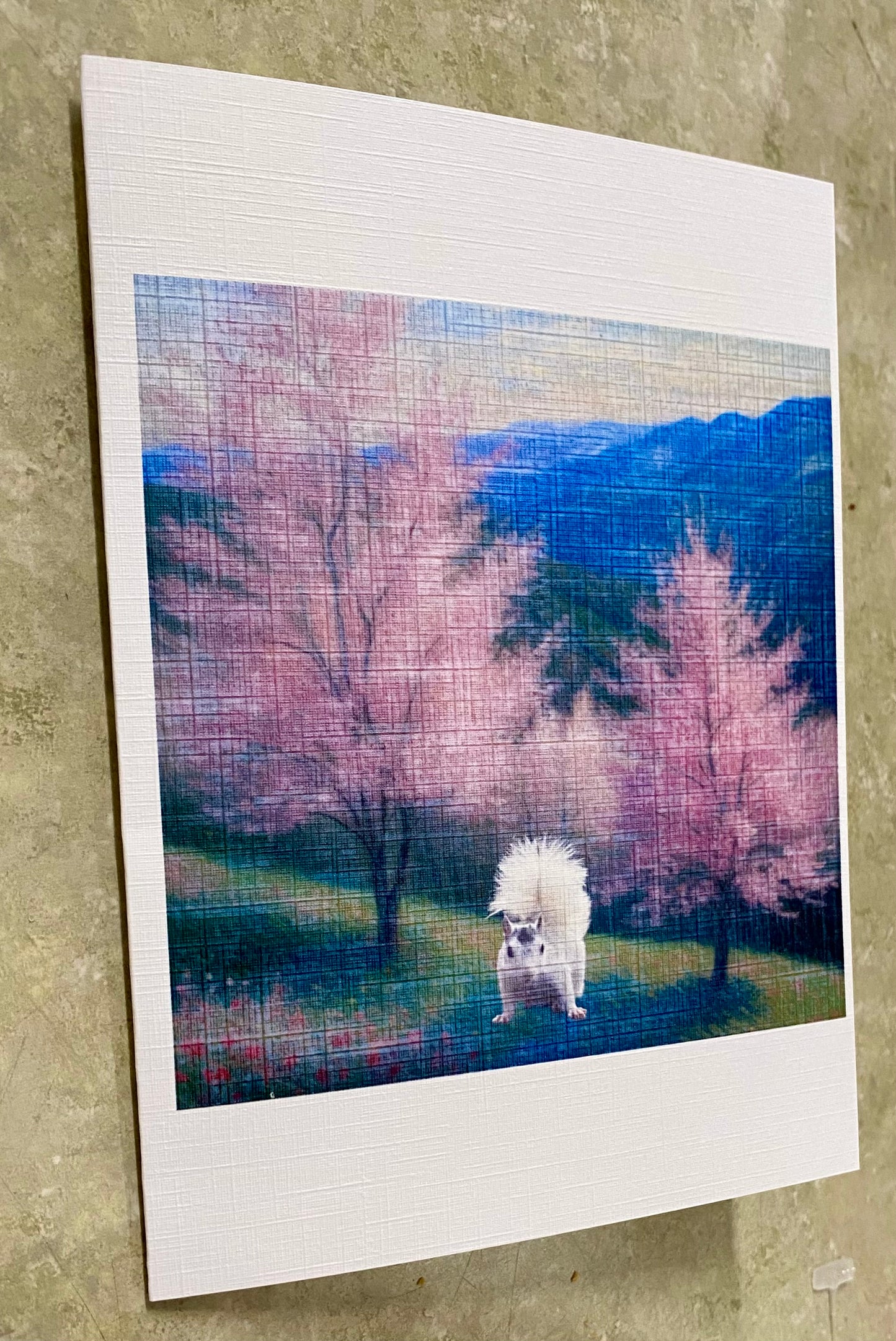 Notecards - White Squirrel Notecards by Lorraine Skala