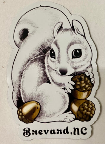 Magnet - Vinyl - Cute White Squirrel Holding Acorns