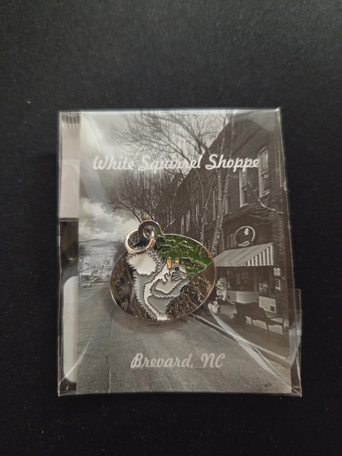 Pendant - Metal - White Squirrel with or without background - Oval