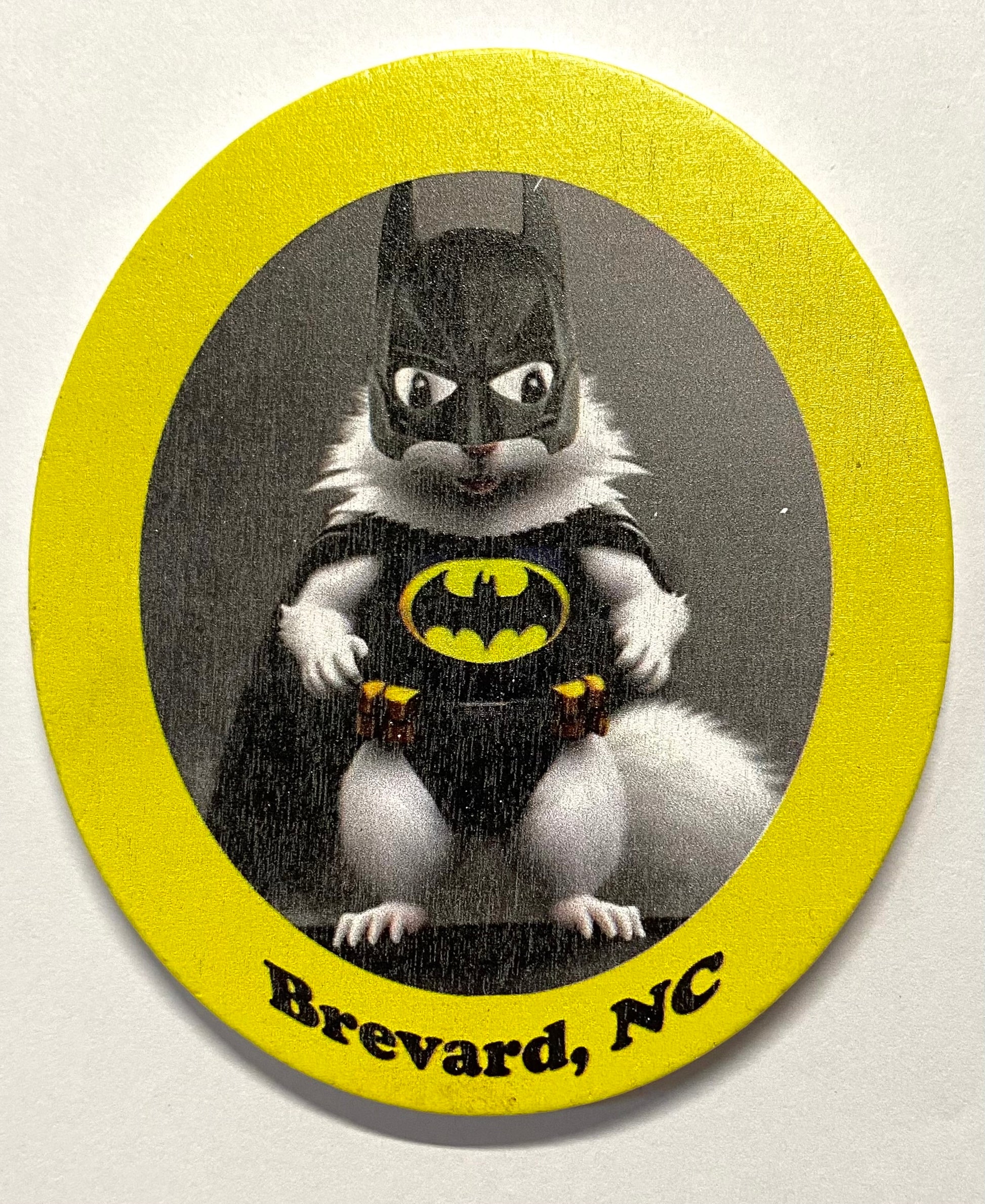 Batman white squirrel magnet with a yellow border and Brevard, NC below.