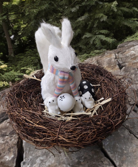 Nest with Momma White Squirrel and Two Babies