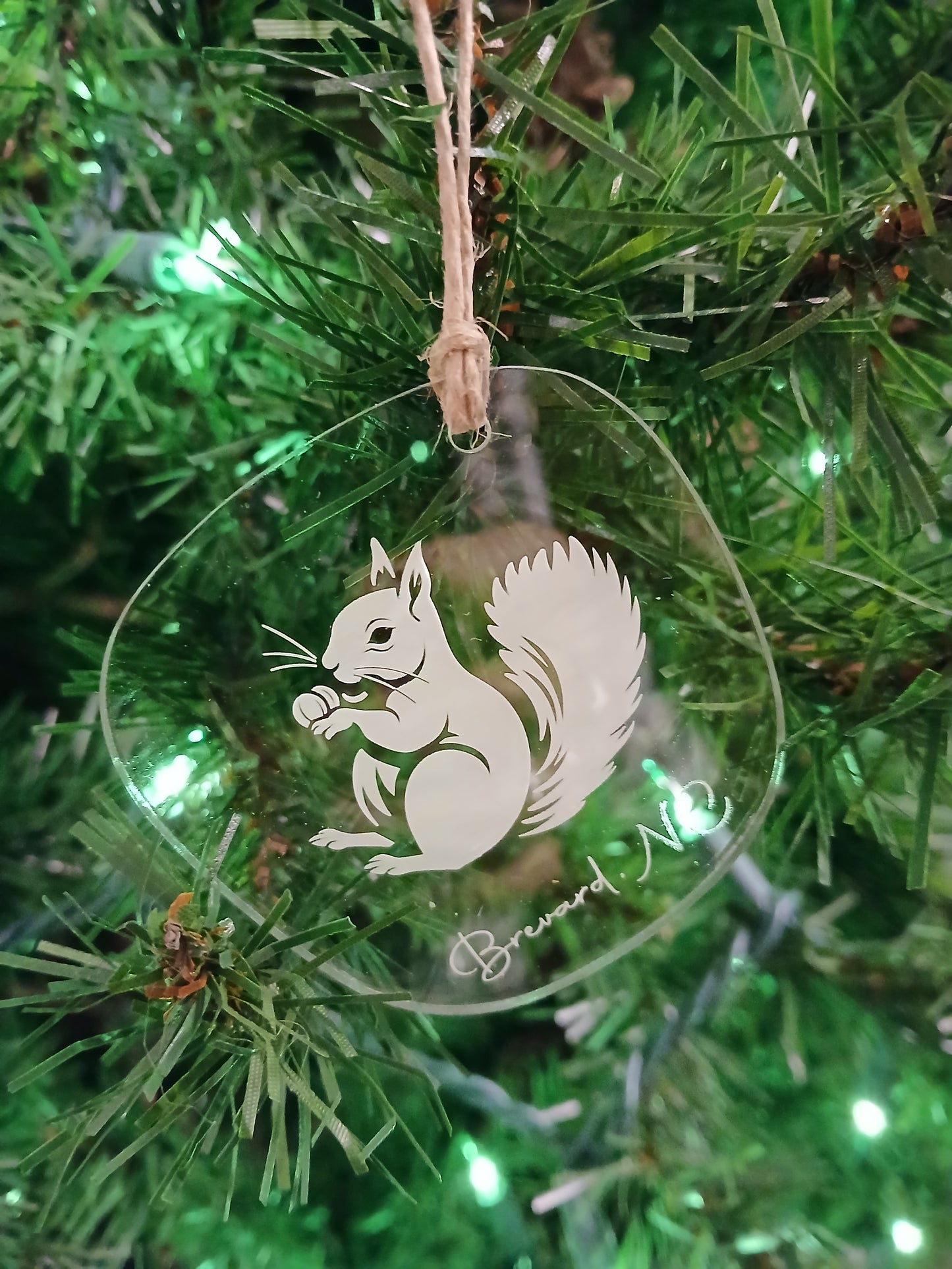 A white squirrel acrylic ornament with the text 'Brevard, NC' hanging on a Christmas tree.