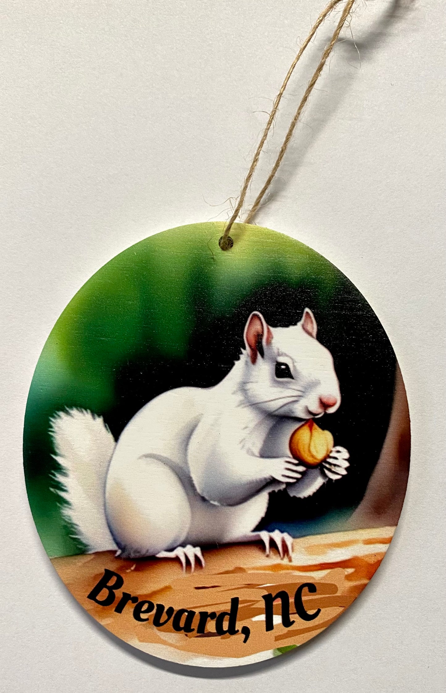 An oval laser cut wooden ornament with a white squirrel eating an acorn on it. Contains the text 'Brevard, NC' on the bottom.