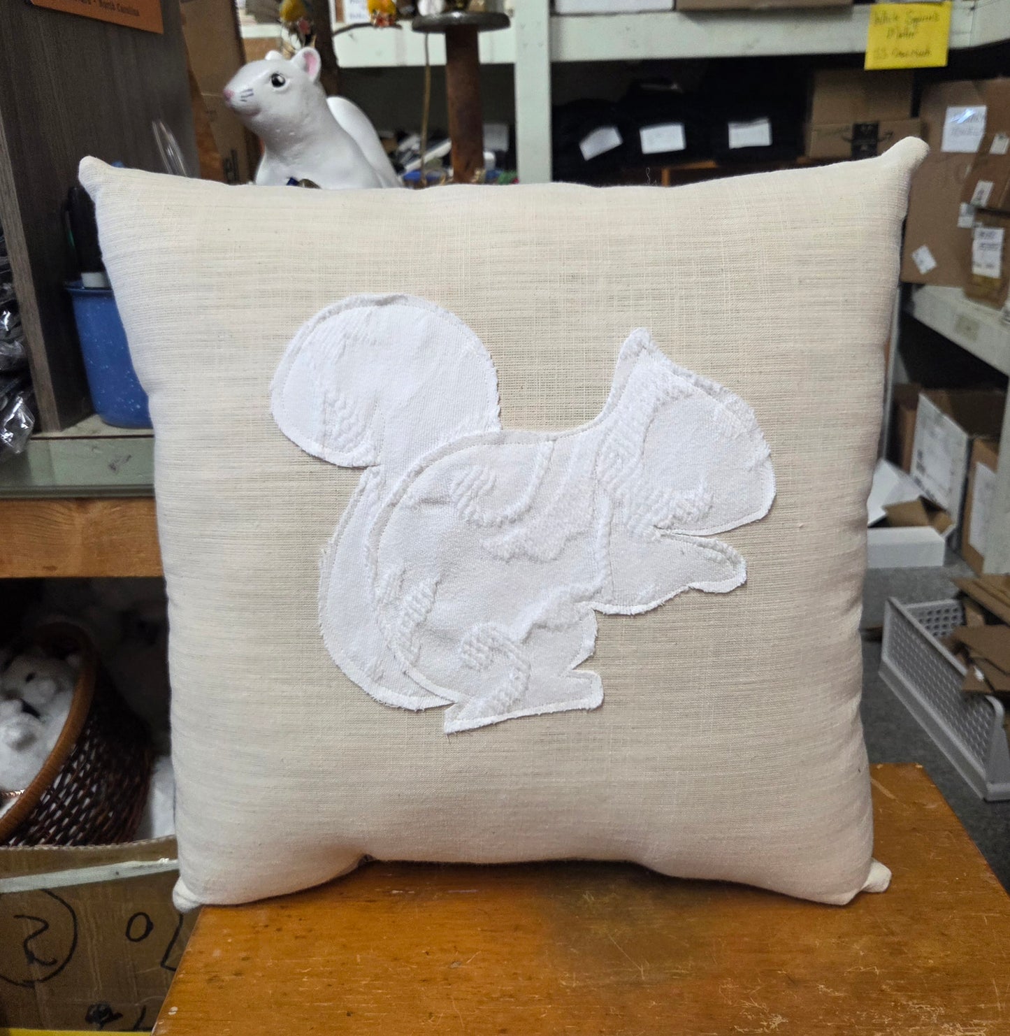 Pillows - White Squirrel Throw Pillows for Couch, Bed, Rental Units 16 inches by 16 inches and 20 inches by 13 inches