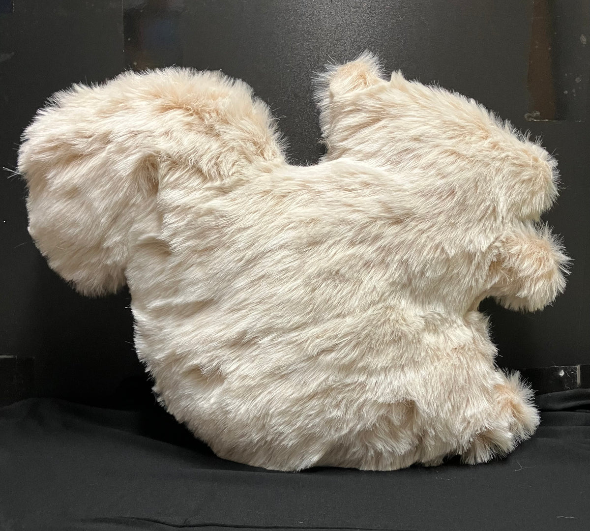 Pillows - White Squirrel Throw Pillows for Couch, Bed, Rental Units