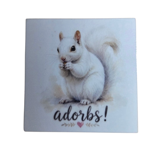 Decal/Sticker - White Squirrel "Adorbs" - 2" Square Mini