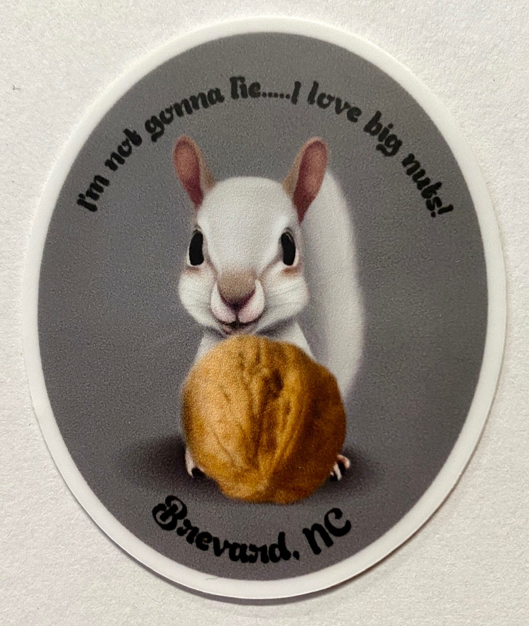 A vinyl decal featuring a white squirrel holding a nut, with the text 'I'm Not Gonna Lie.
