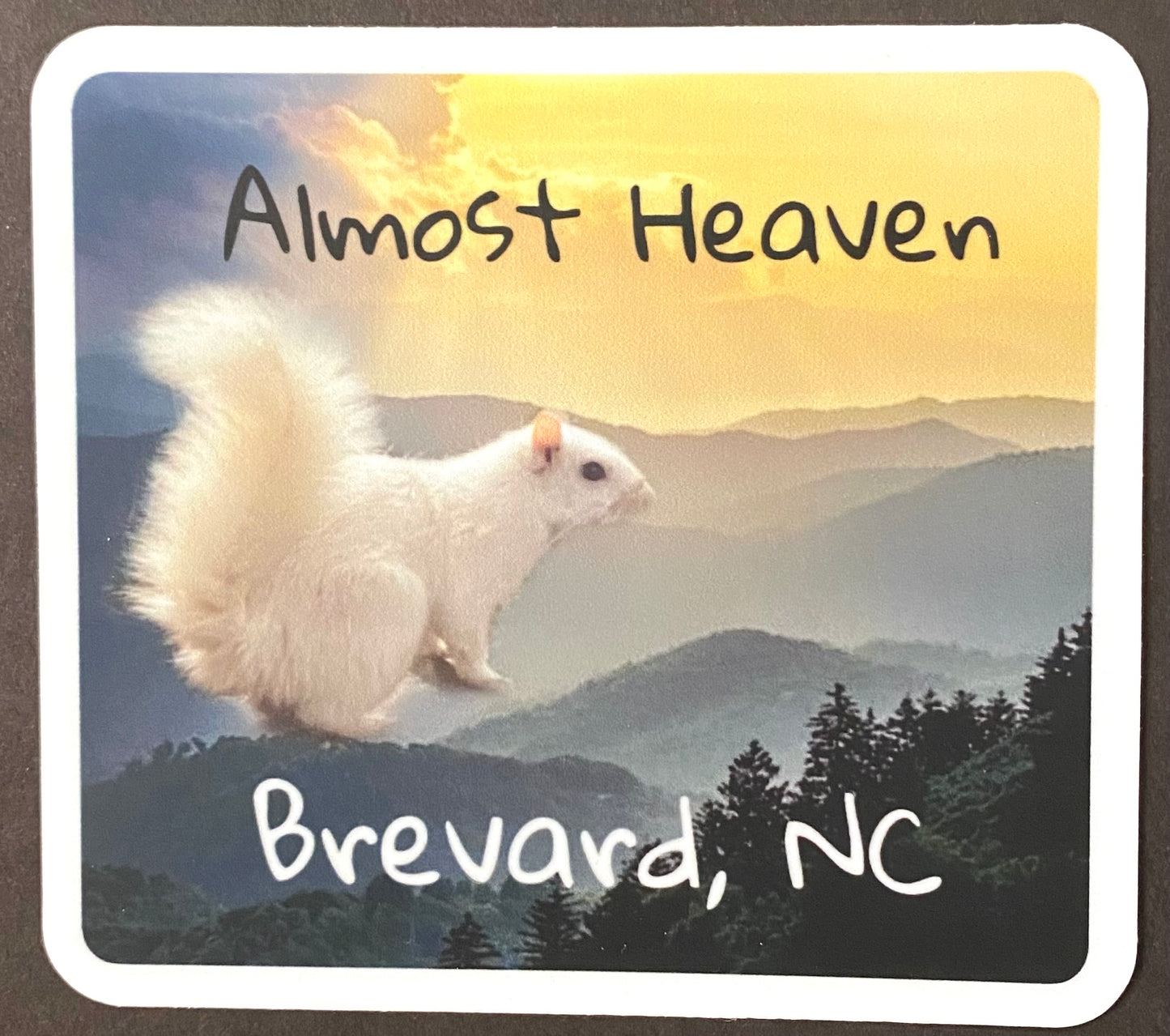A vinyl decal with an image of a white squirrel and a scenic view of mountains in the background, with the text 'Almost Heaven, Brevard, NC'.
