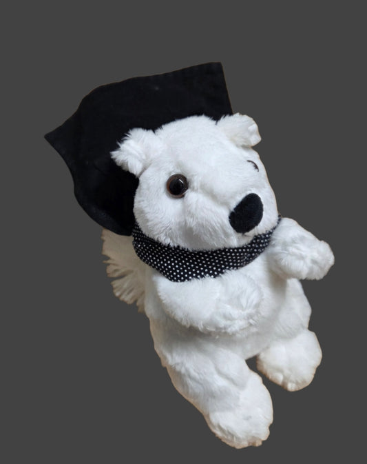 Stuffed Animal - White Squirrel with Black Nose and Dracula Cape - Medium Size