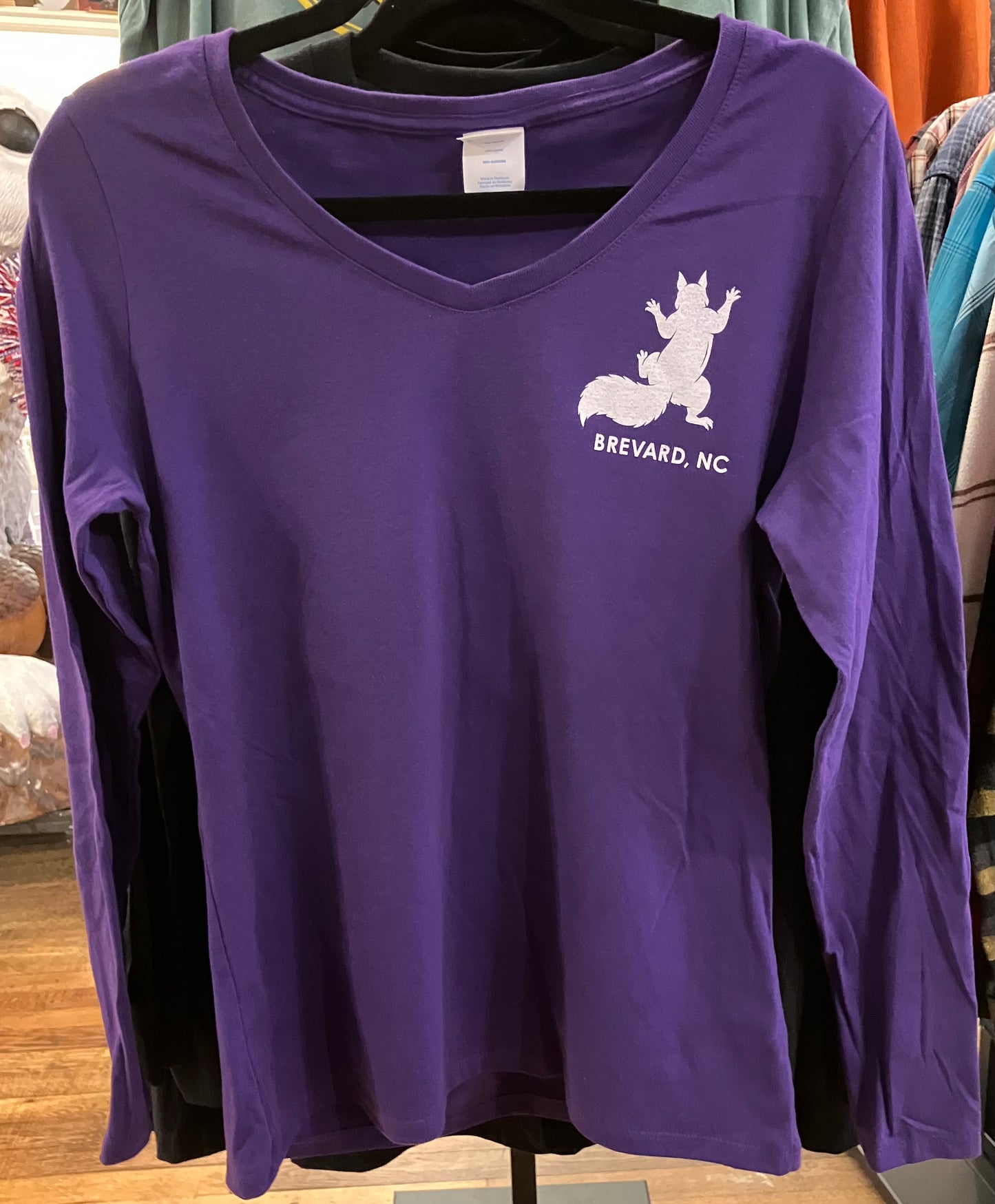 T-Shirt - Women's - I've Got Your Back & Birdseed - Long Sleeve V-Neck in Purple