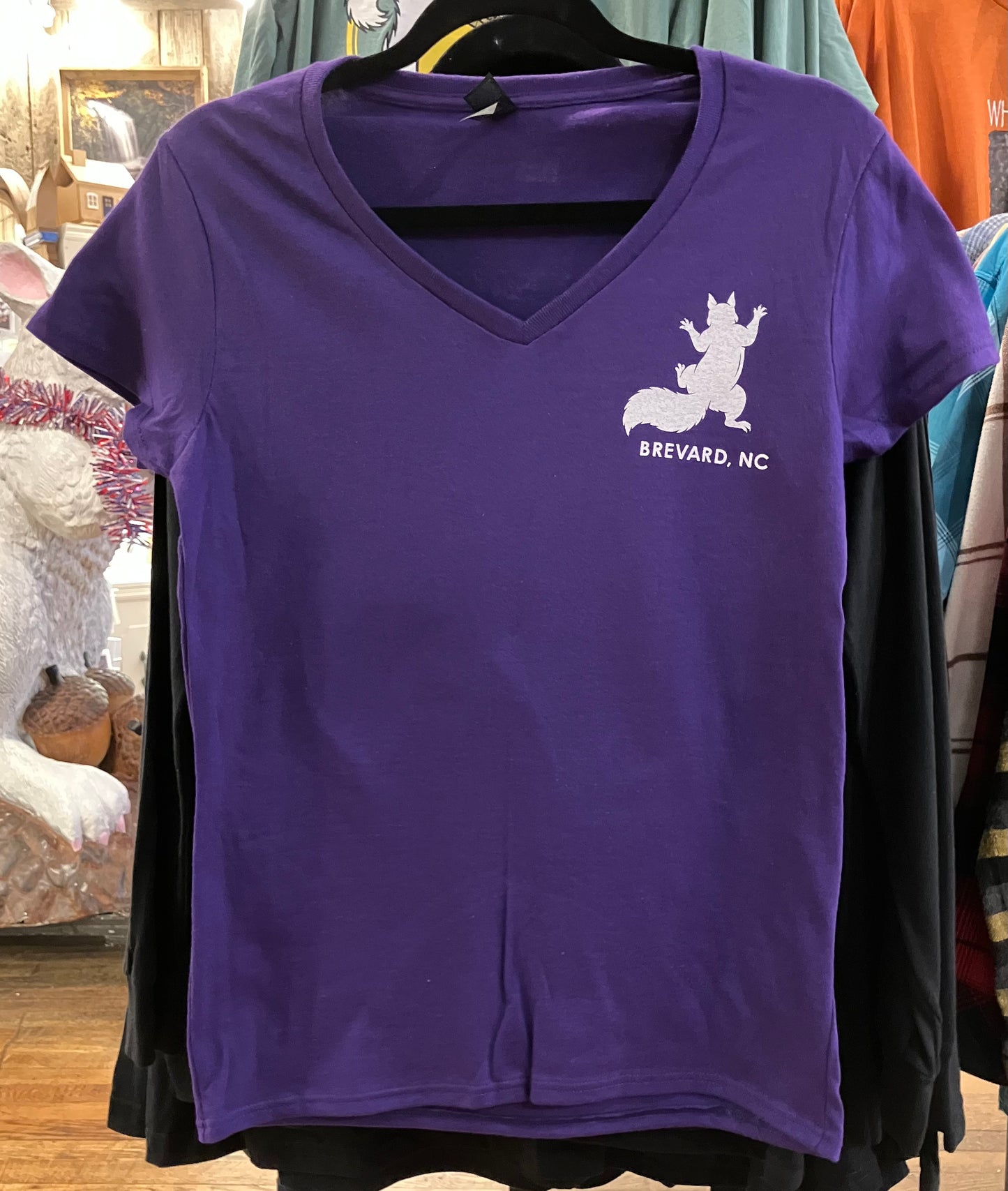 T-Shirt - Women's - I've Got Your Back & Birdseed - Short Sleeve V-Neck in Purple
