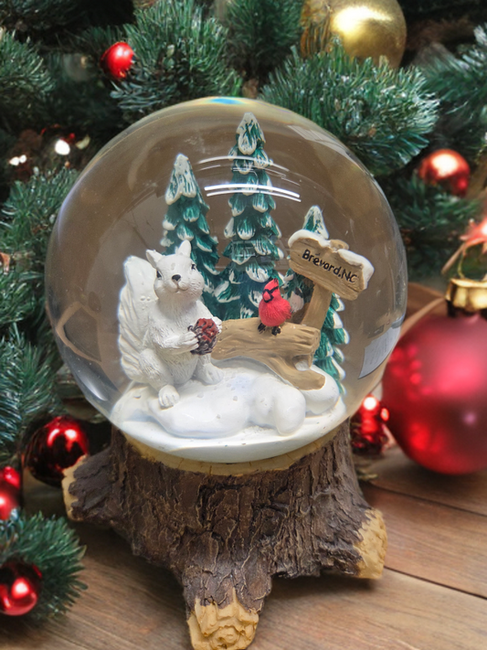 Snow Globe - White Squirrel, Brevard, NC Design