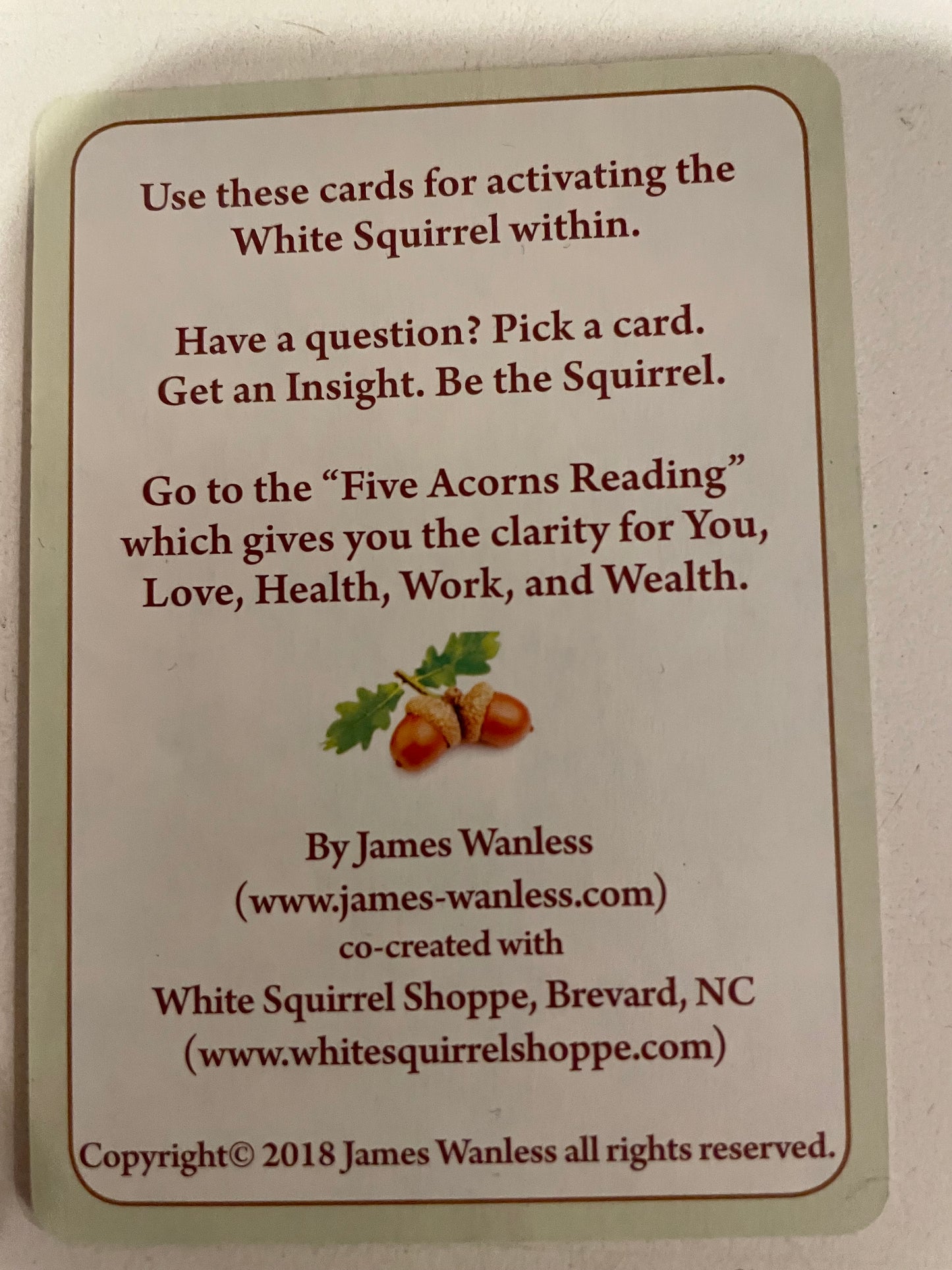 White Squirrel Whizdom Oracle Cards