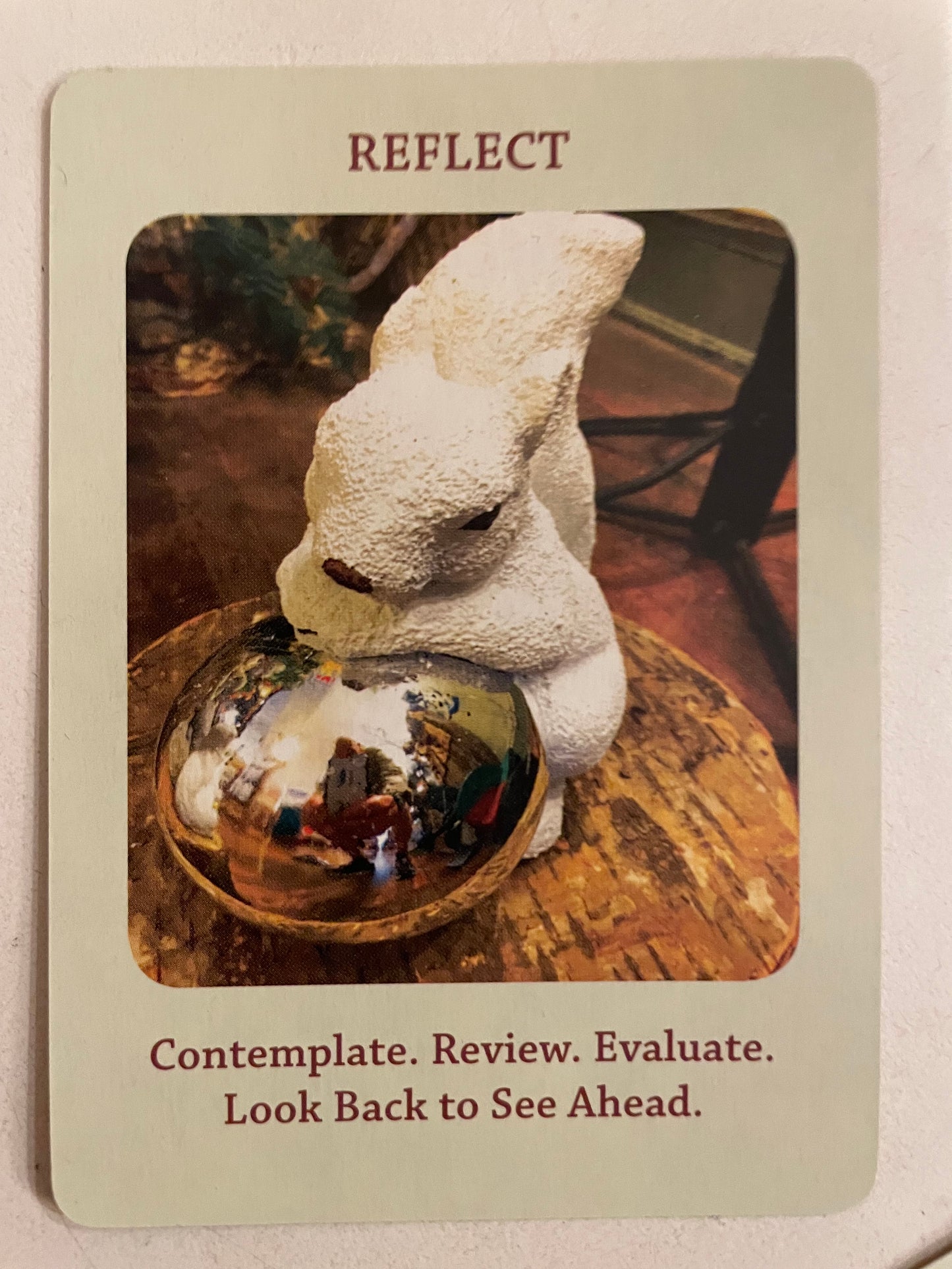 White Squirrel Whizdom Oracle Cards