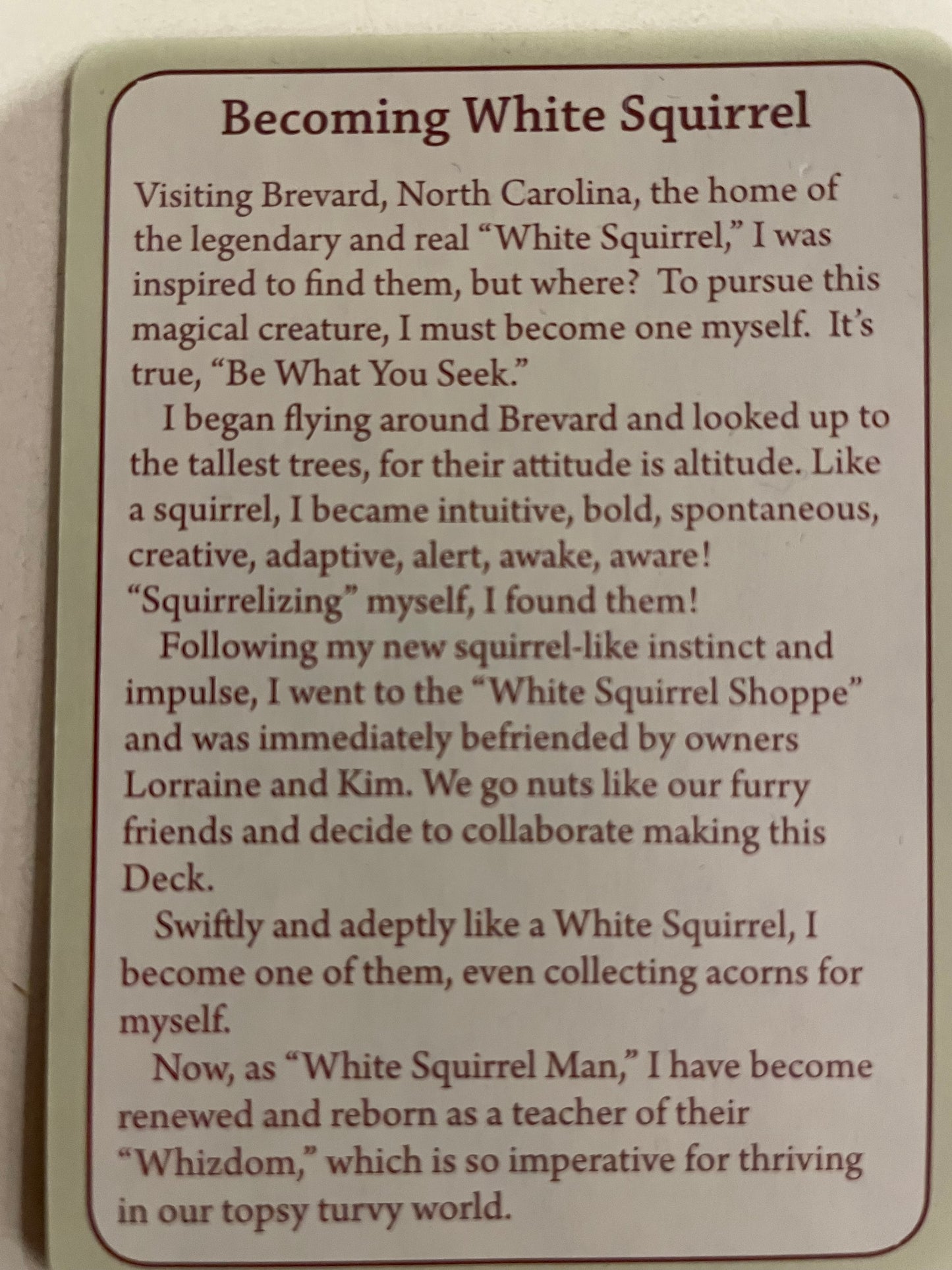 White Squirrel Whizdom Oracle Cards
