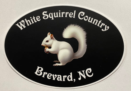 White Squirrel Country decal - Large black oval vinyl sticker from Brevard, NC featuring white squirrel design