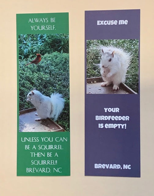 Choose from our selection of white squirrel bookmarks.